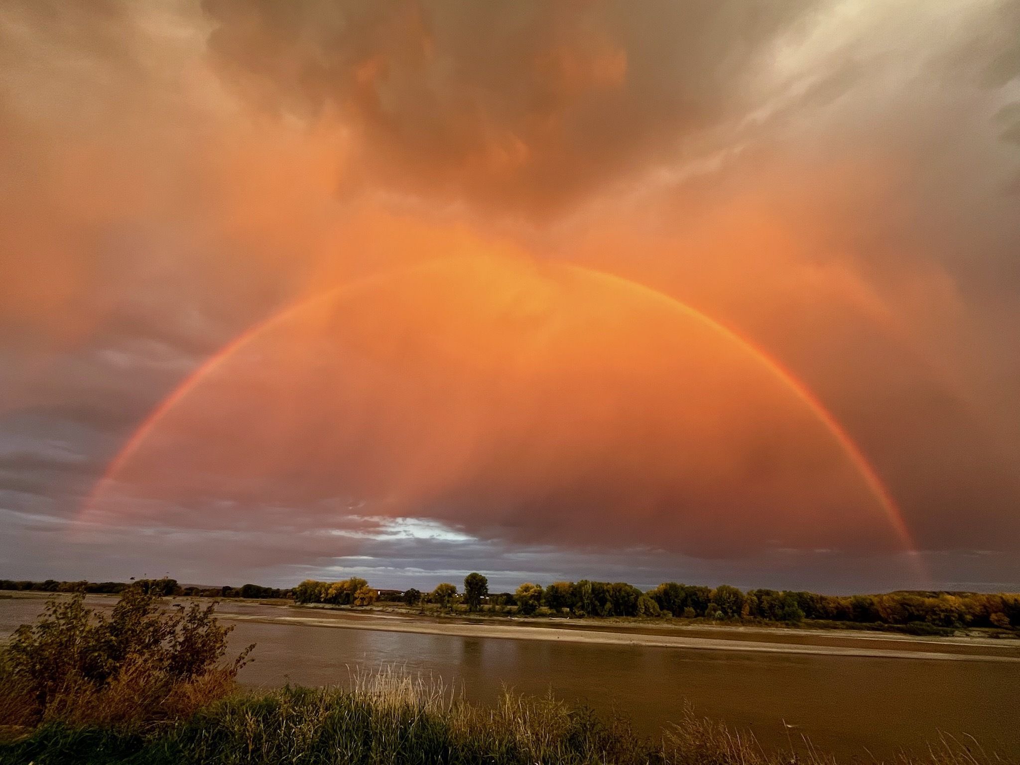 Badminton Game Online